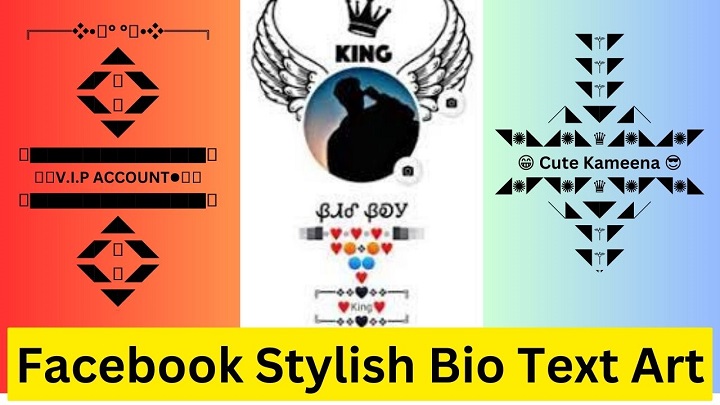 facebook stylish bio text art for boy