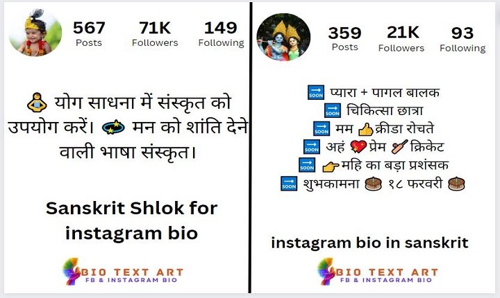 Sanskrit Shlok For instagram Bio
